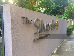 The Silver Fir (D15), Apartment #124502272